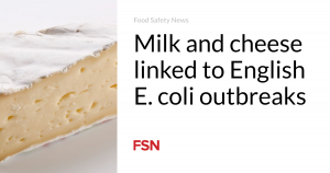 Milk and cheese linked to English E. coli outbreaks